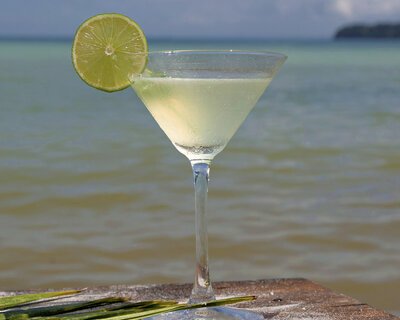 ICP&#x20;2023&#x20;094