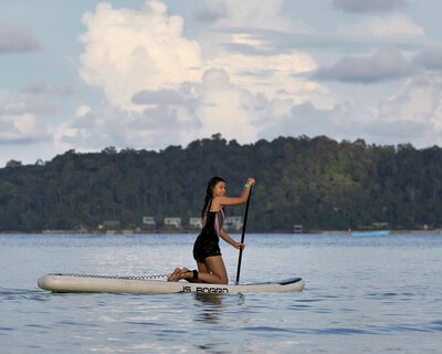 ICP&#x20;2023&#x20;217