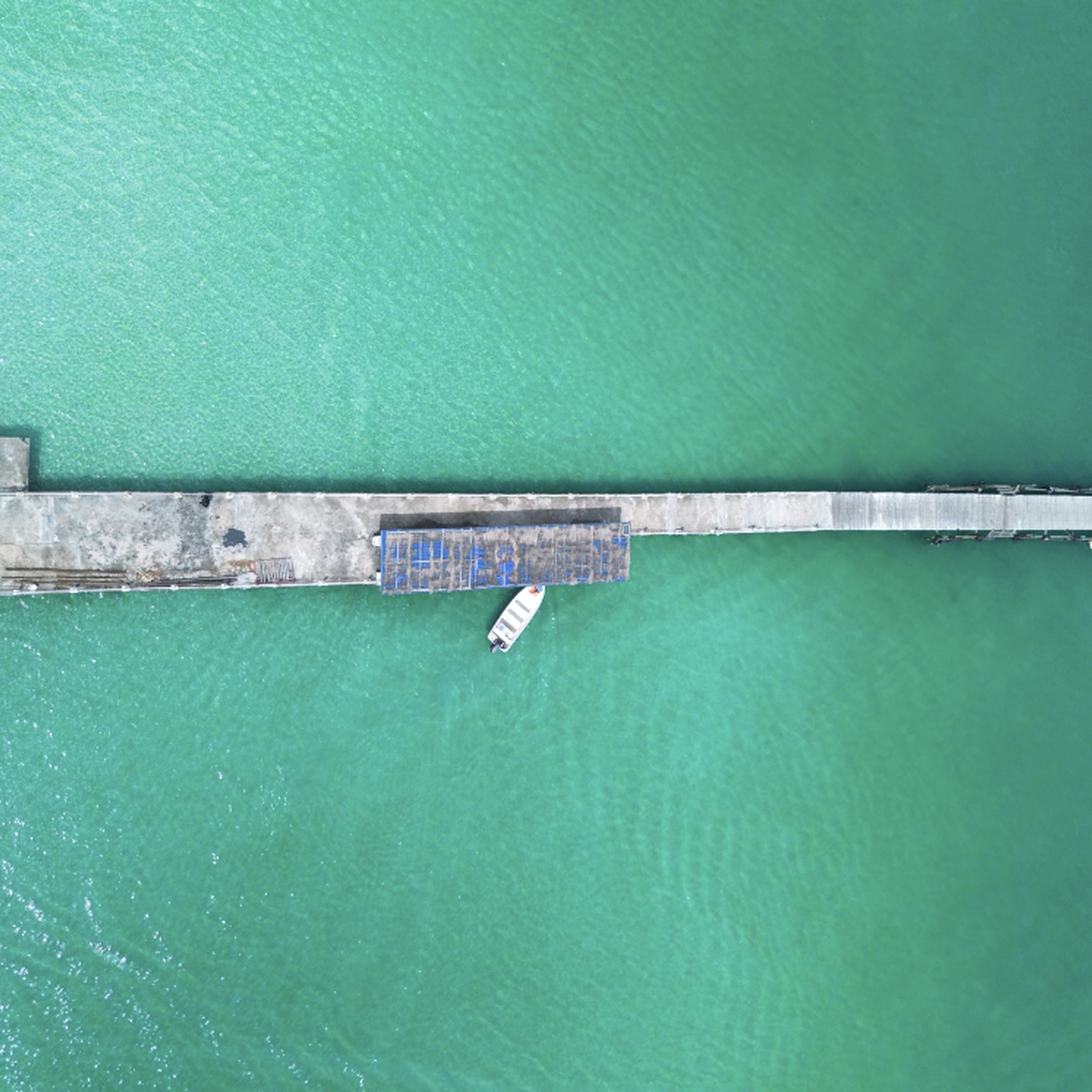 Icp gemma polichiso 2025