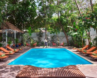 Jungle&#x20;addition&#x20;pool1