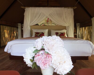 Park&#x20;jungloo&#x20;interior&#x20;2024&#x20;1