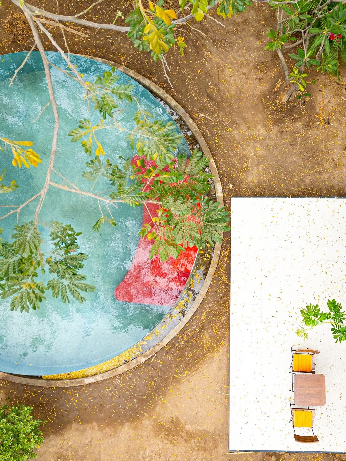 Park&#x20;jungloo&#x20;pool&#x20;terrace&#x20;2024