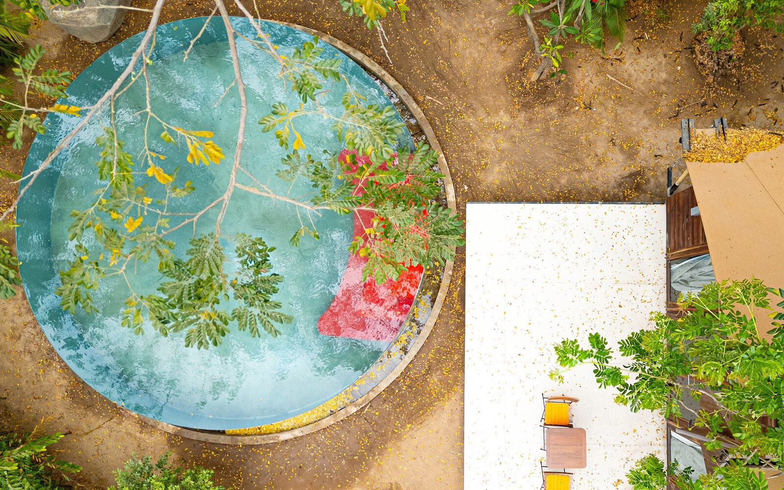 Park jungloo pool terrace 2024