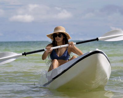 Icp&#x20;gene&#x20;jm&#x20;112023&#x20;1