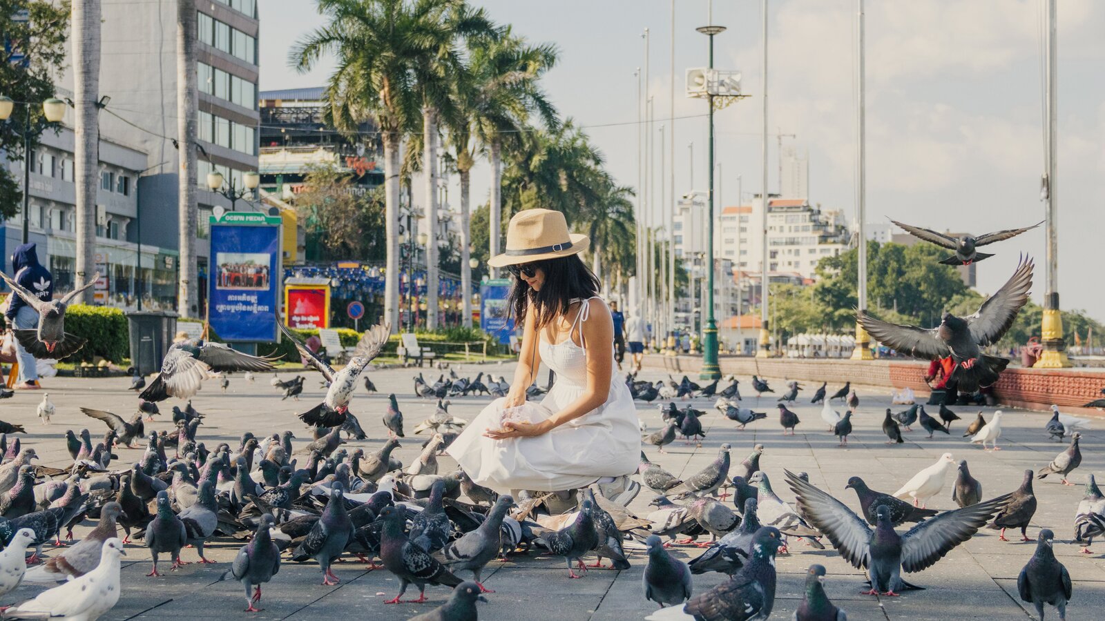 Strolling phnom penh maads 2025