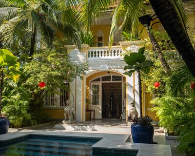 DSF0282&#x20;s&#x20;RGB&#x20;min