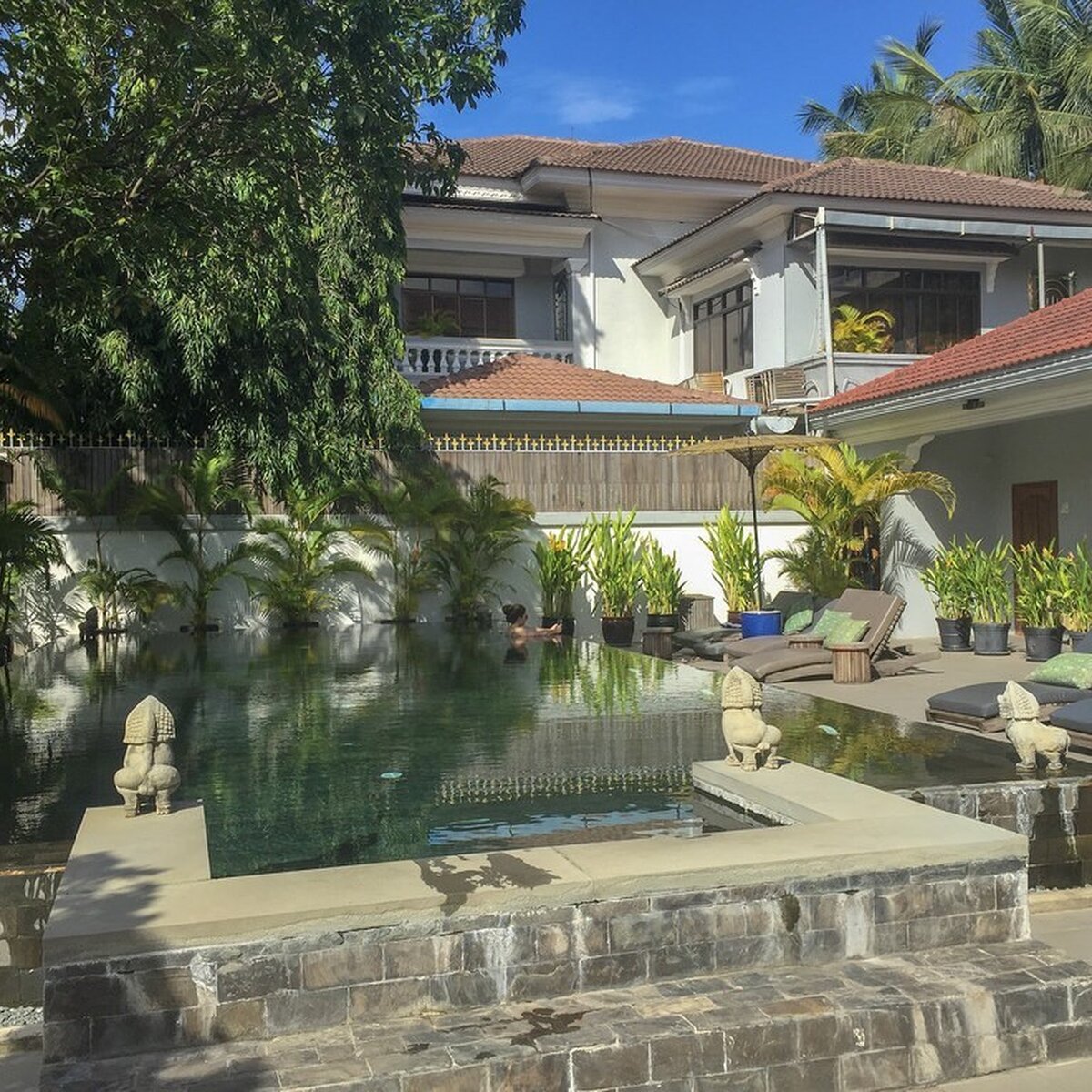 Pavannikasunpool33