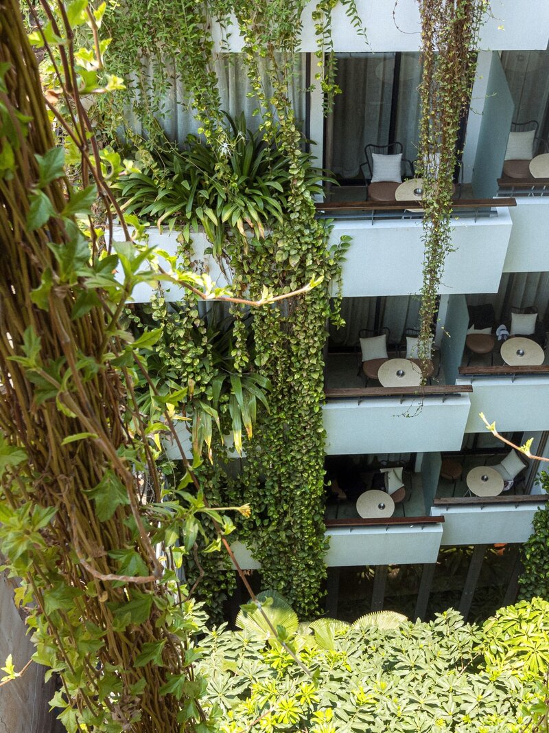 Ph&#x20;patio&#x20;202405&#x20;1