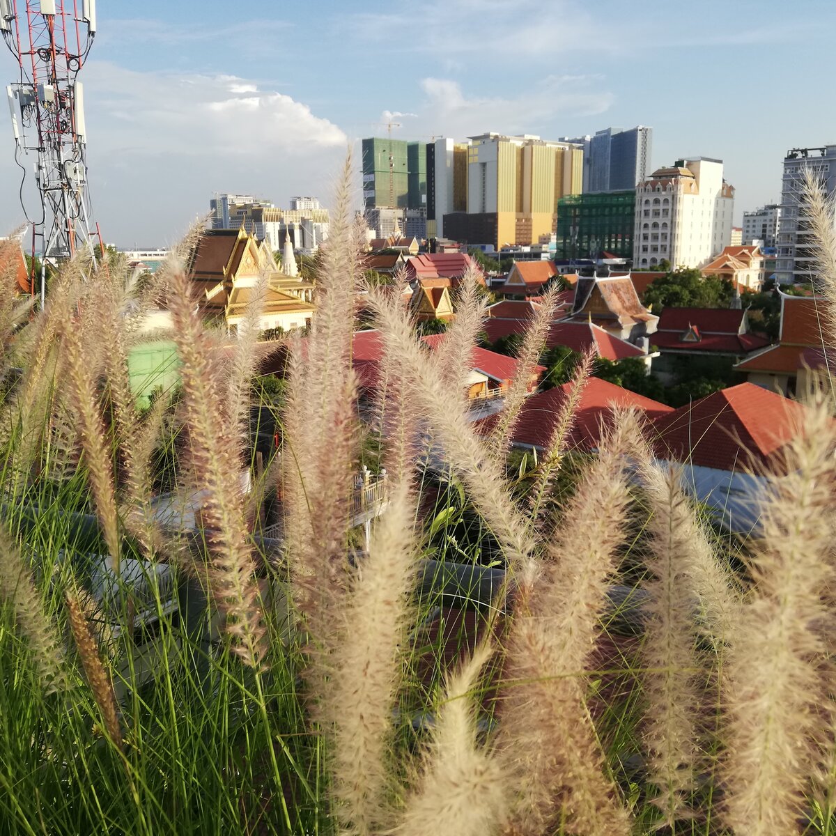 IMG&#x20;20181206&#x20;163611