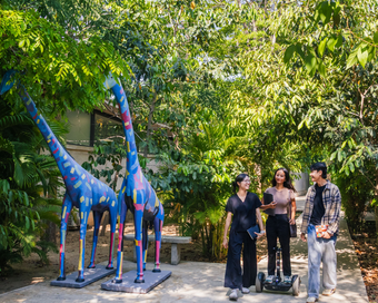 Three coworkers walking along a shaded garden pathway at Aquation Office Park next to two colorful giraffe statues.