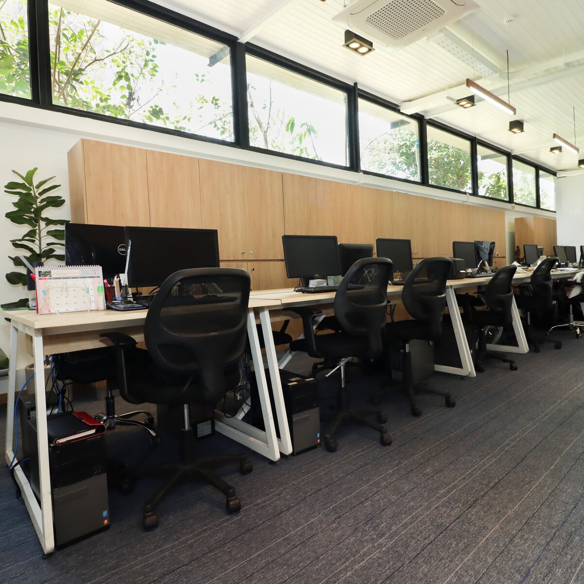 Aquation GK Mar2821 IMG 3686