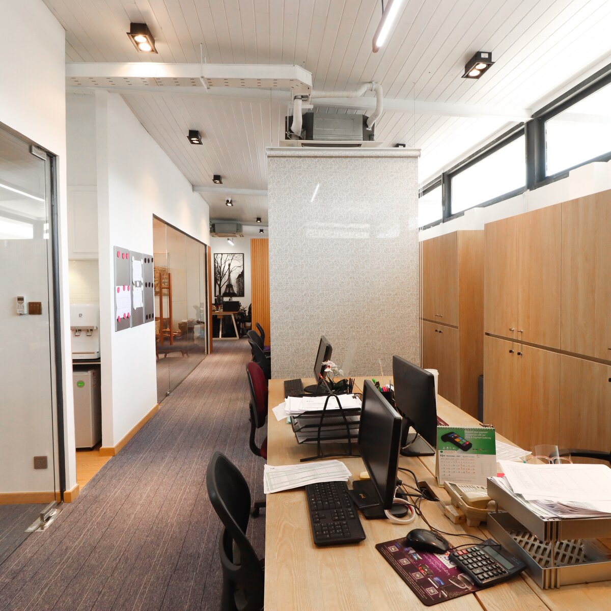 Aquation GK Mar2821 IMG 3700