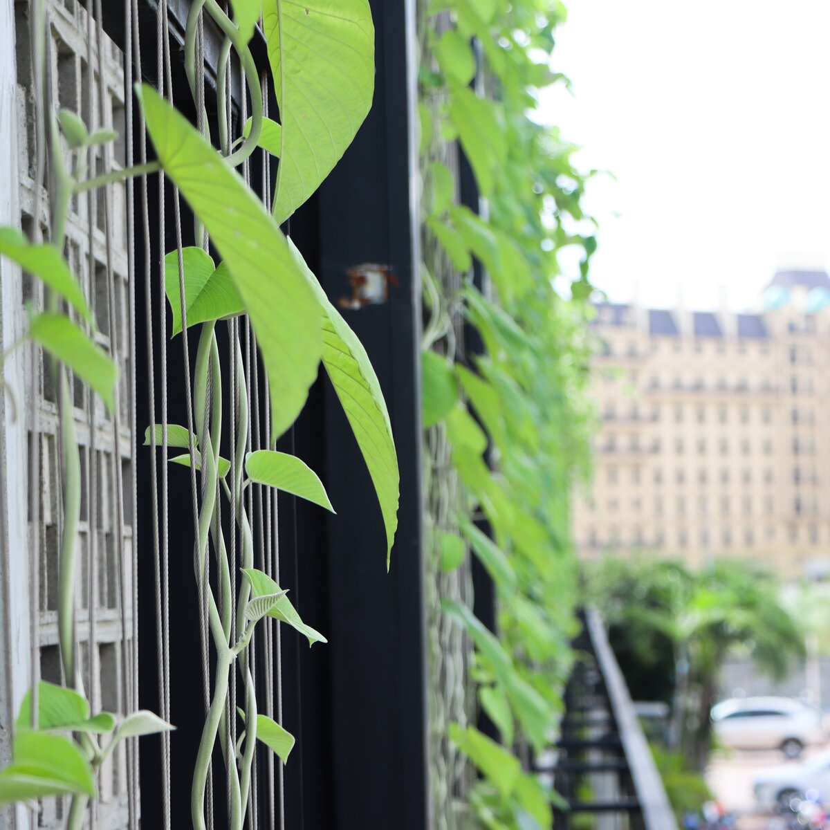 Aquation IMG 1371 re