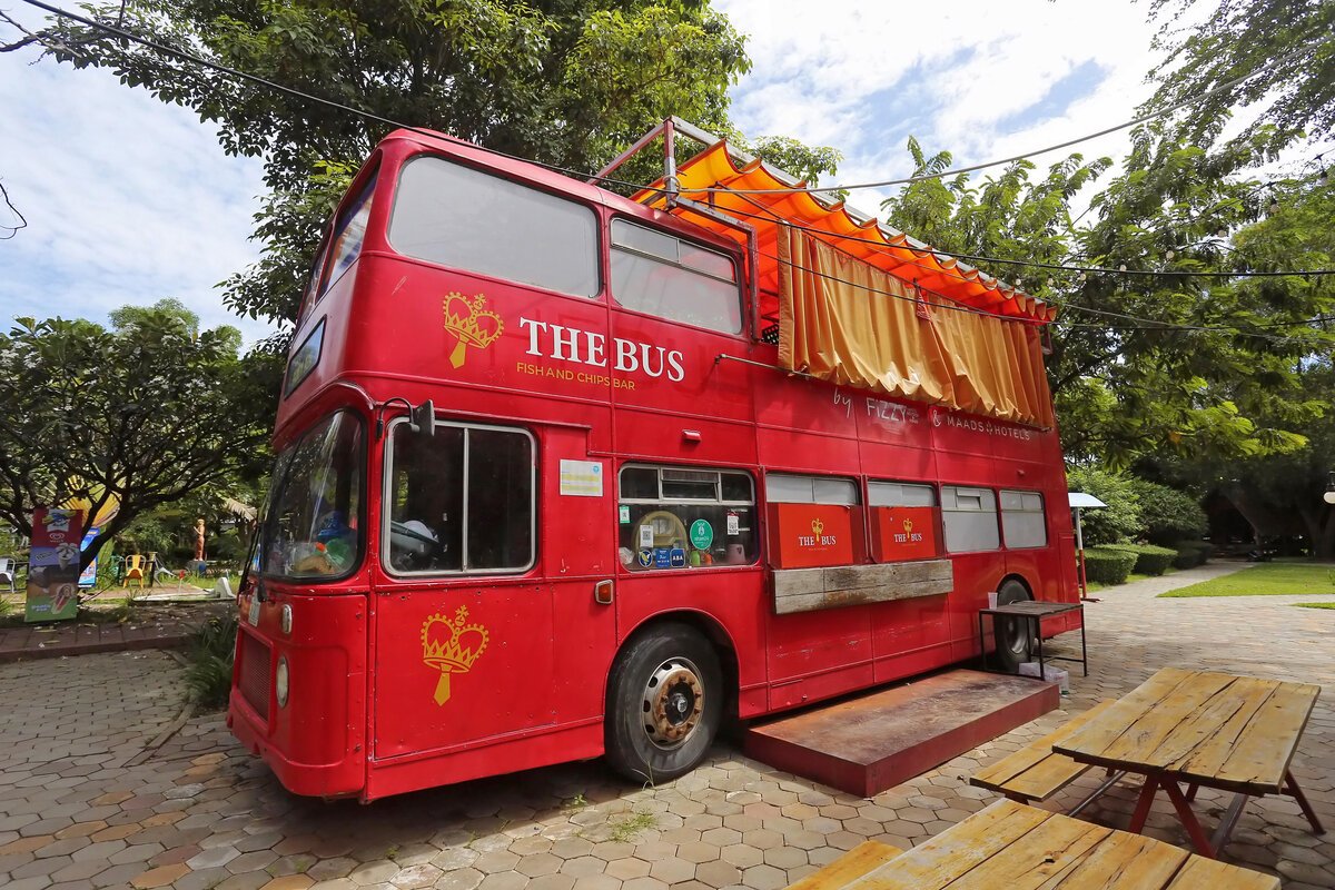 Treellion gene 102023 15