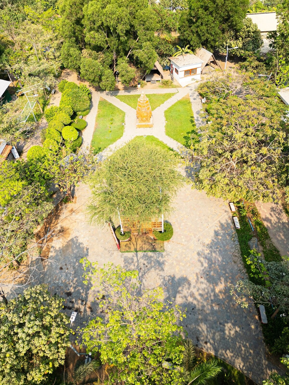 Treellion general drone 2 2024