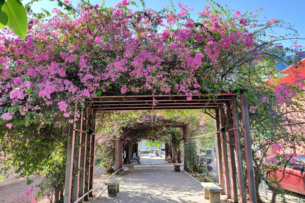 Kohich parkjan2022 39