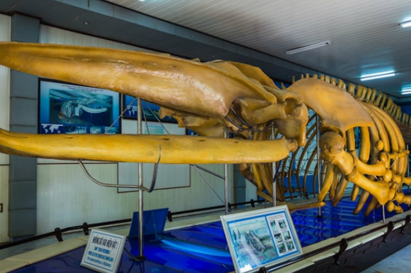 Nha trang museum