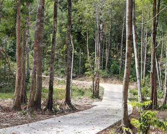 ICP HILLSIDE WALKWAY 3