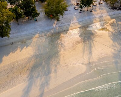 Icp marionlucas 032024 11