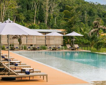Rows of cozy sun loungers under the umbrellas lined up, with lap pool surrounded by rainforest at Island Center Point, Koh Rong Sanloem..