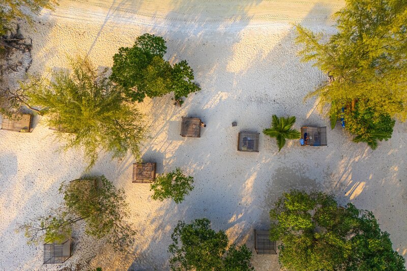 Icp marionlucas 032024 10