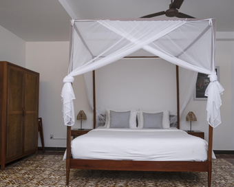 Jungle panorama20224