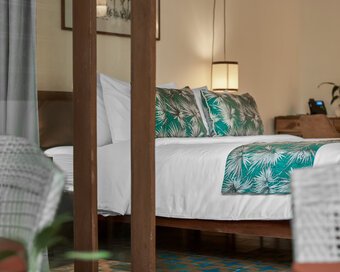 Jungle Addition Deluxe Room Detail 3