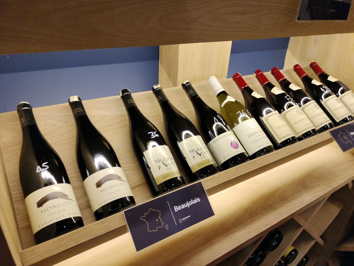 Mwine treellion aug2022 5