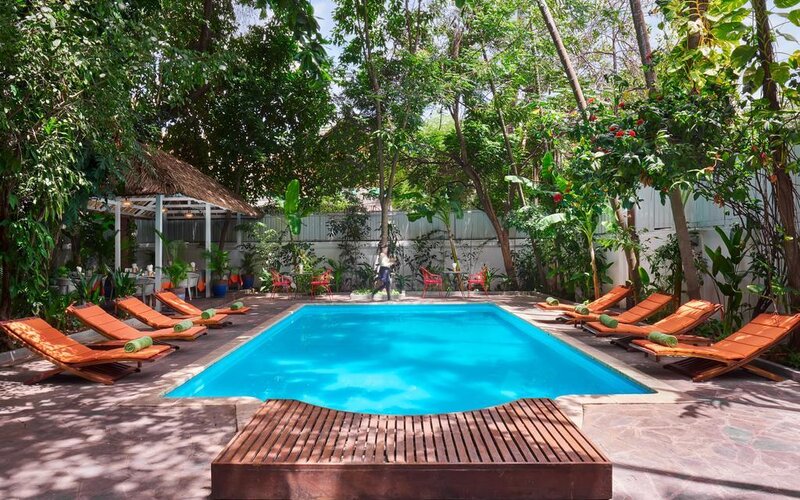 Jungle addition pool1