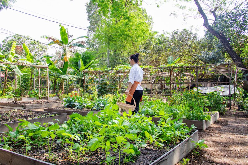 TPL Garden 2026 29