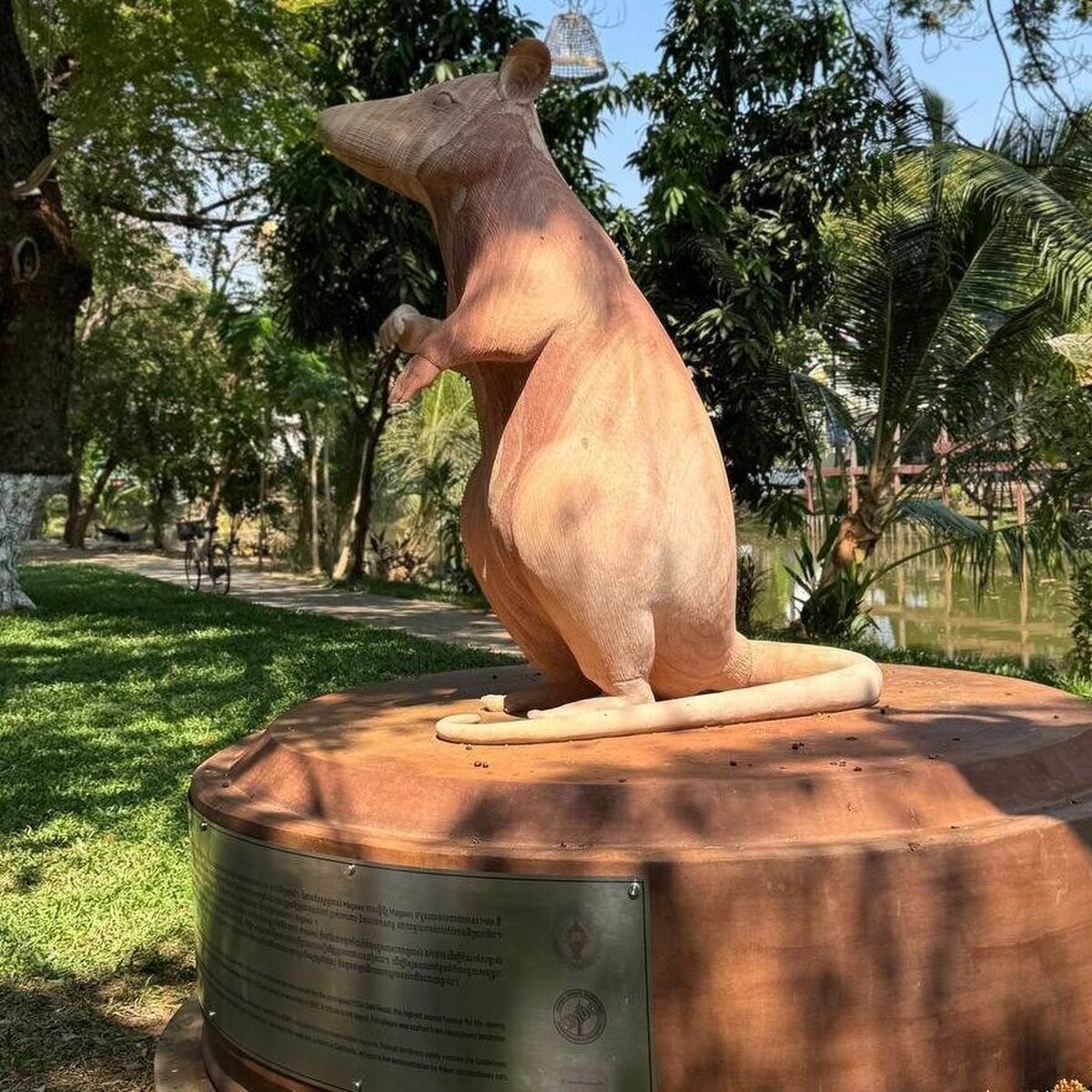 Statue of HeroRat Magawa in the gardens of Siem Reap Riverside.[