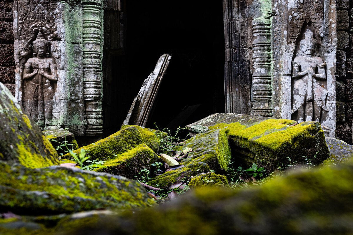 Greenseason regisbinard atp2