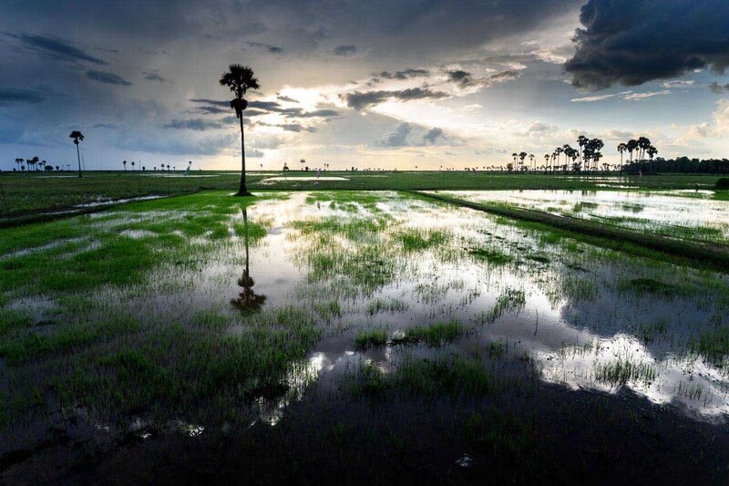 Greenseason flooded countryside atp