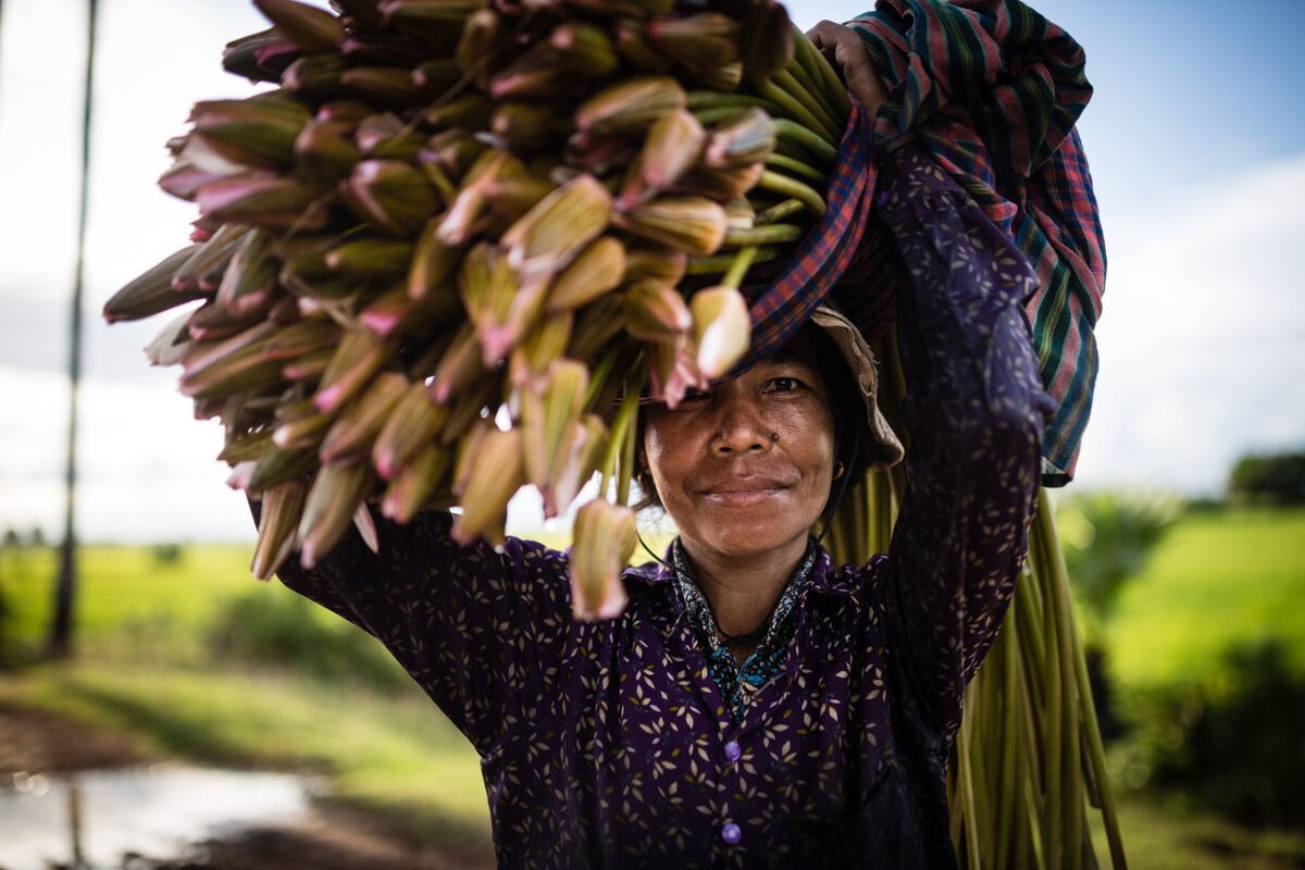 Green season rb 1715