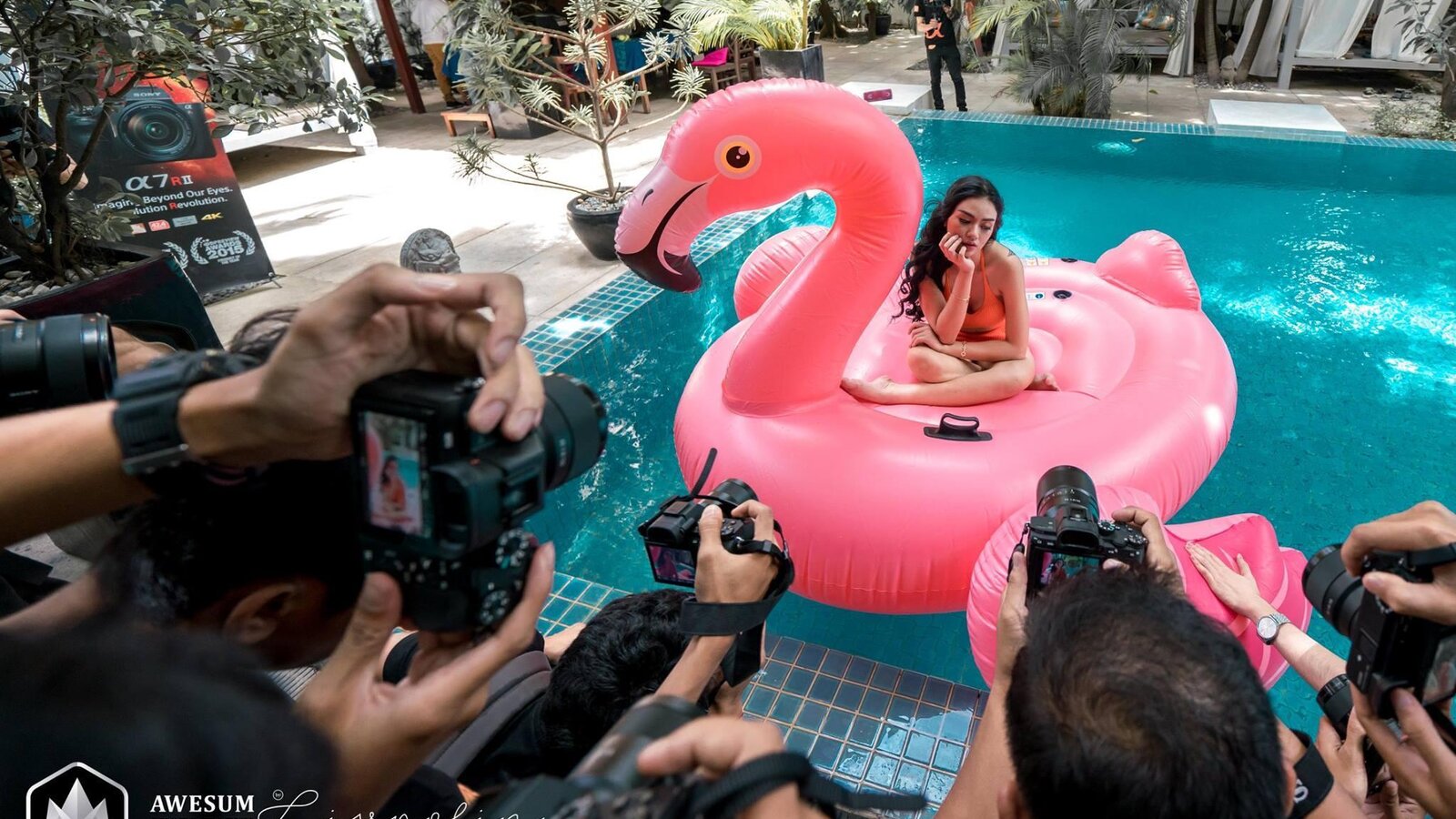 36873954 1722203414524360 5707810334346051584 o