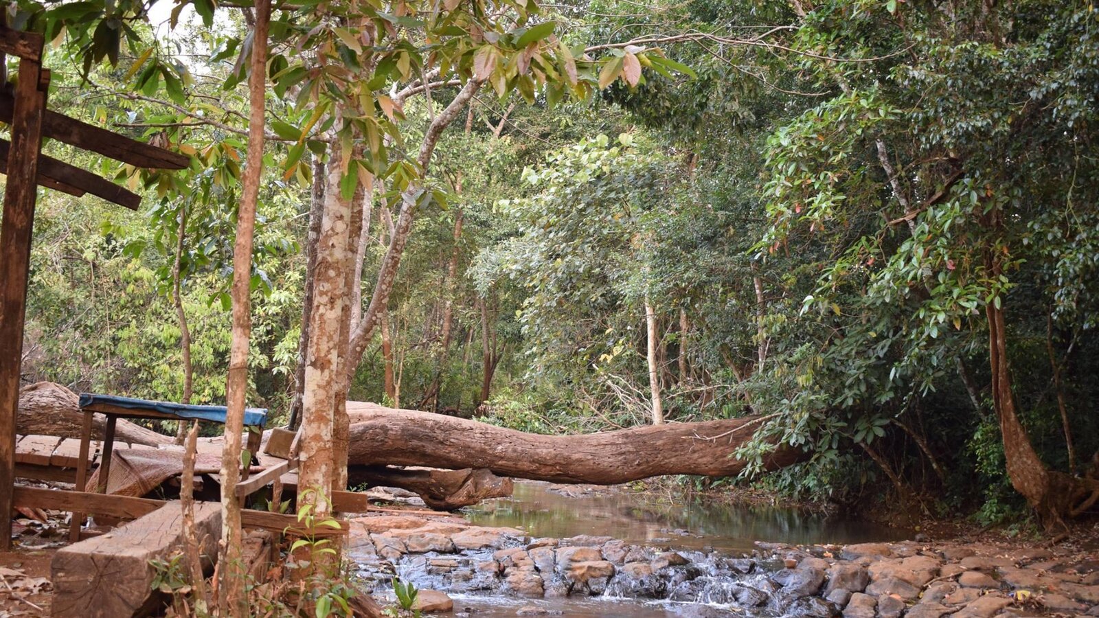 17358943 618970611625582 5118696817260406716 o