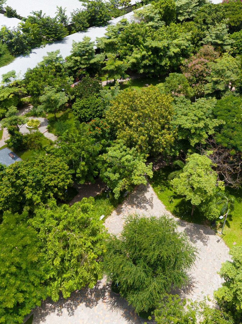 Trellion202409 gene4