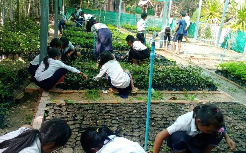 Kulen reforestation3