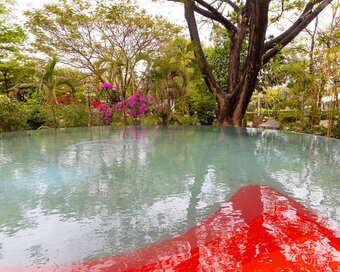 Park jungloo pool trees 04 2024