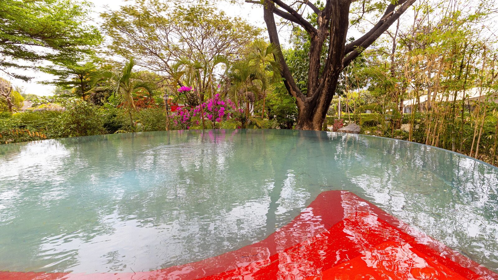 Park jungloo pool trees 04 2024