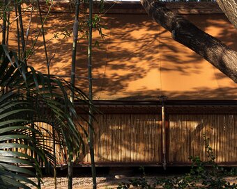 Park jungloo detail 2024 bamboo2