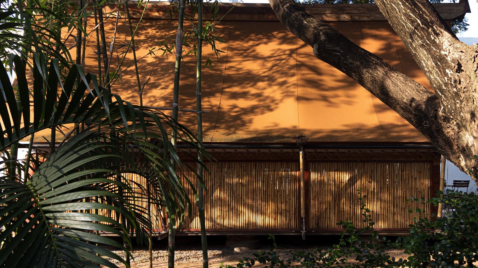 Park jungloo detail 2024 bamboo2