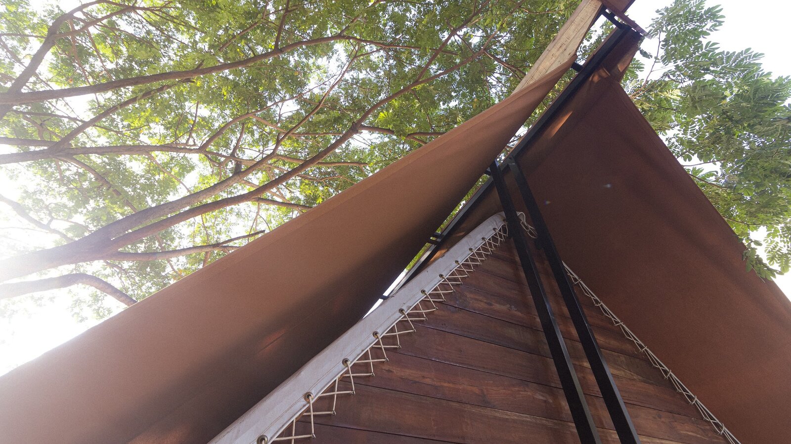 Park jungloo detail 2024