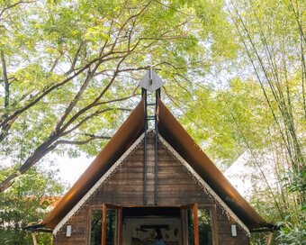 Double-layered bamboo and wood sanctuary nestled under a sunlit forest canopy.