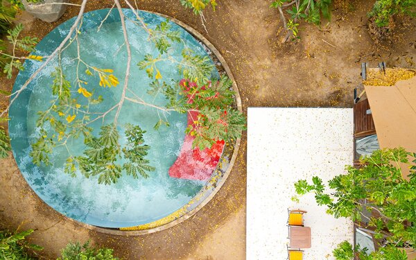 Park jungloo pool terrace 2024