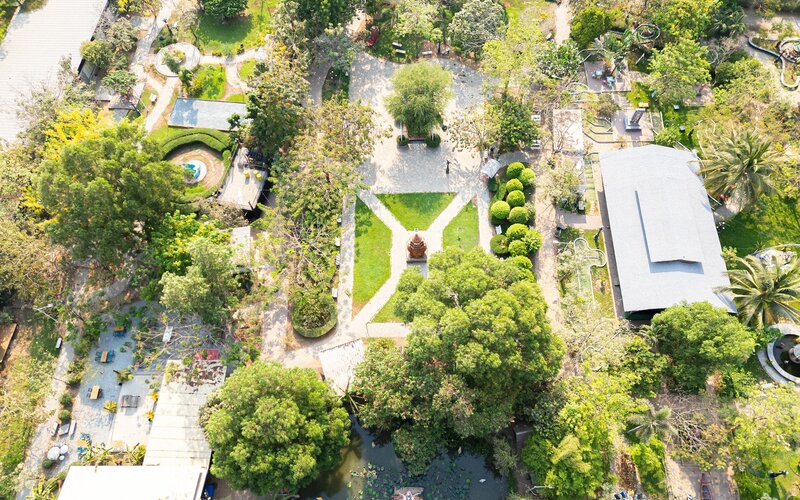 Treellion general drone 3 2024