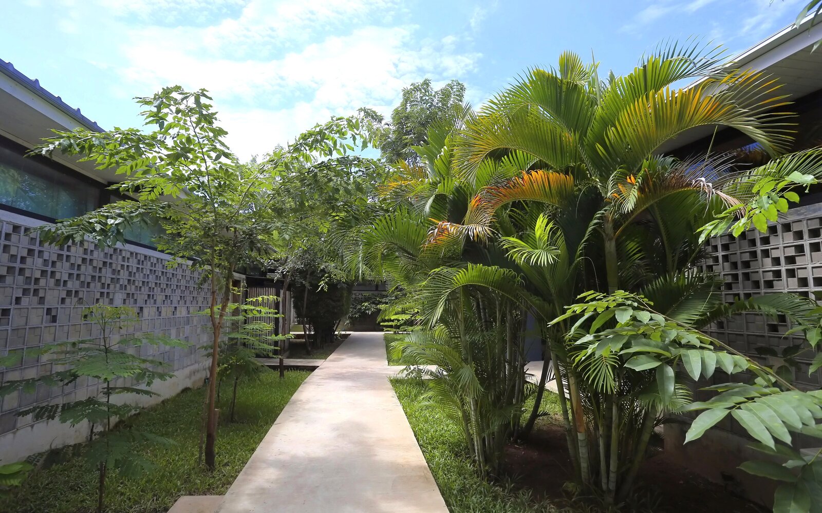 Treellion gene 102023 10