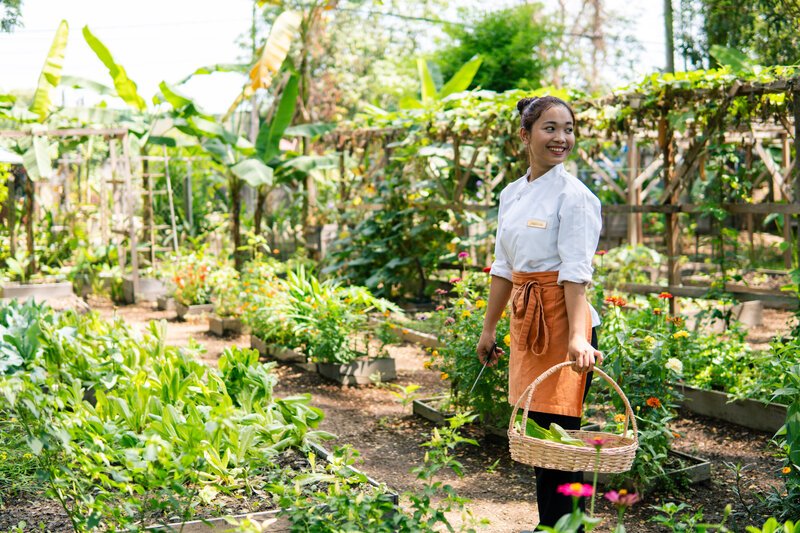 woman collecting flowers, herbs and veggies at Templation Garden, Siem Reap.