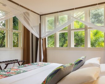 View from the room with large windows overlooking tropical plants in a Superior Double Room