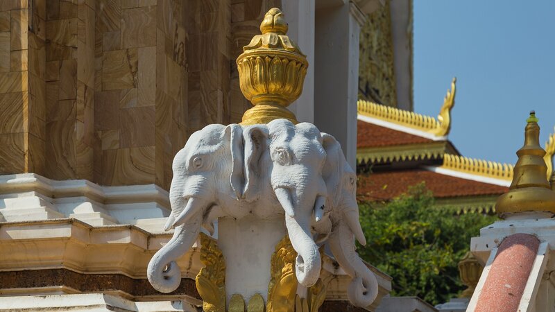 Wat Botum marcin koncek